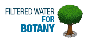 Filtered Water for Botany