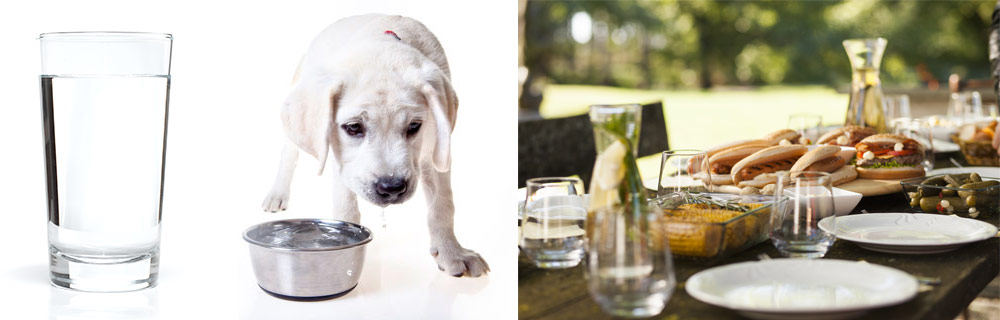 Uses for Water Filtration