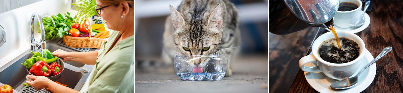 Uses for Water Filtration