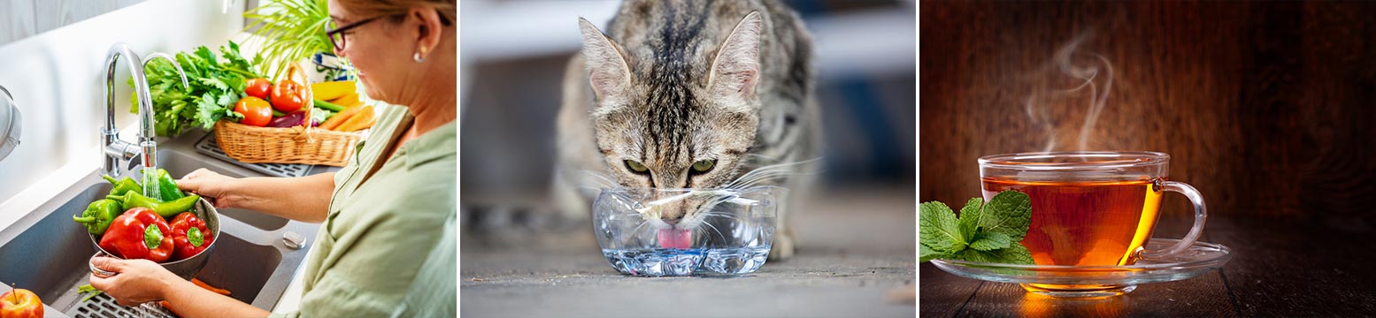 Uses for Water Filtration