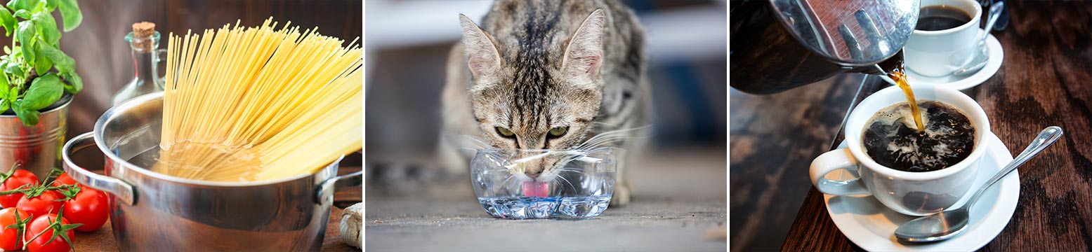 Uses for Water Filtration