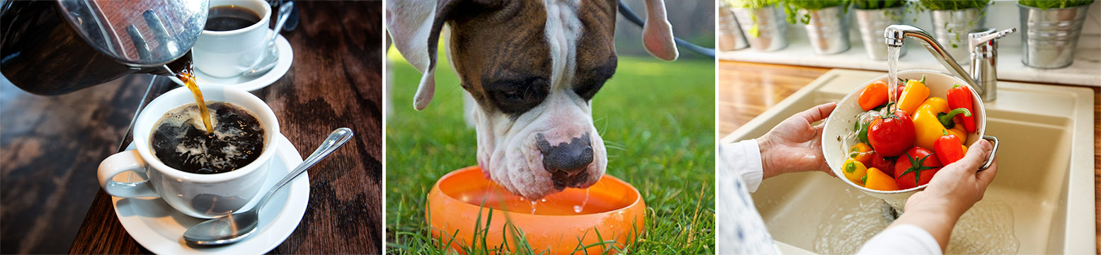 Uses for Water Filtration