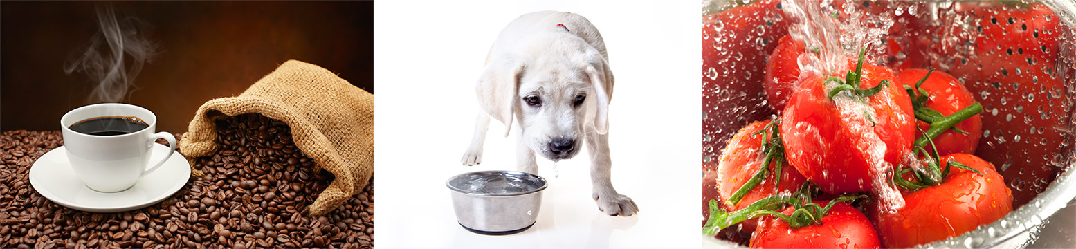 Uses for Water Filtration