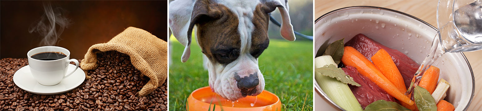 Uses for Water Filtration