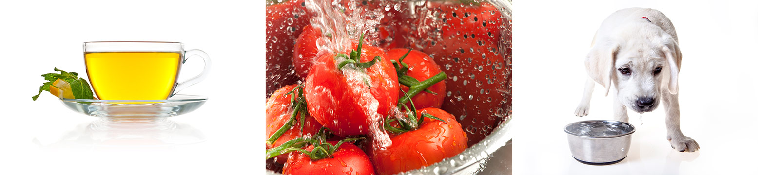 Uses for Water Filtration