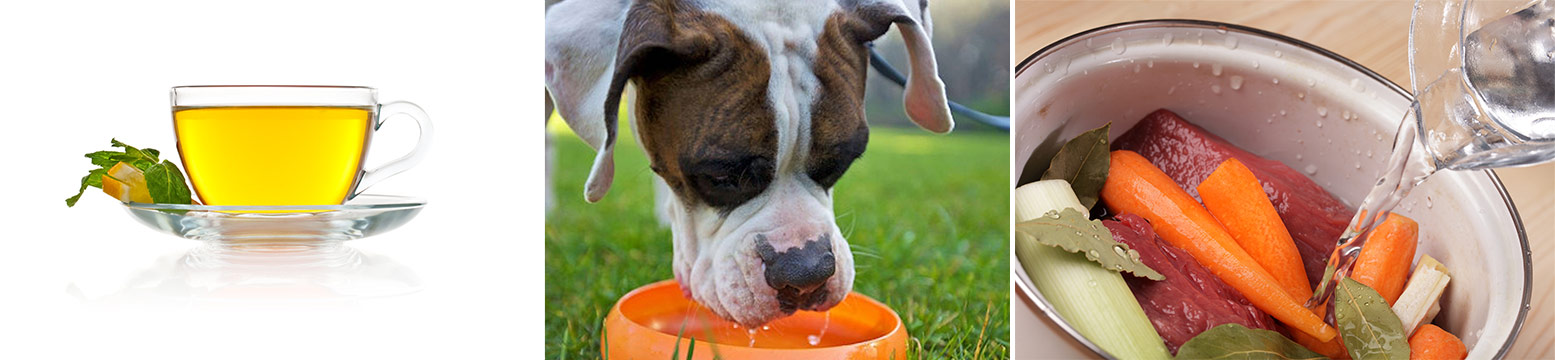 Uses for Water Filtration