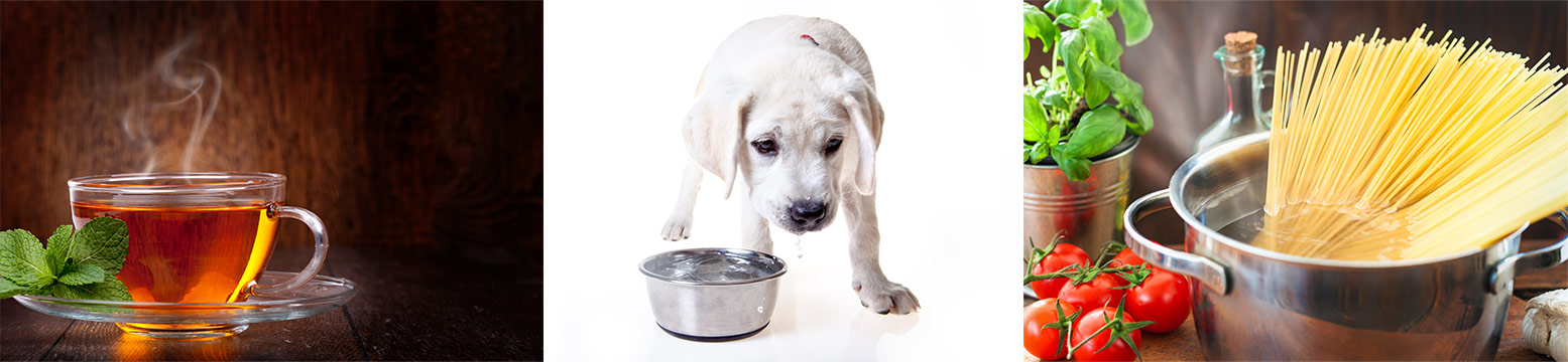 Uses for Water Filtration