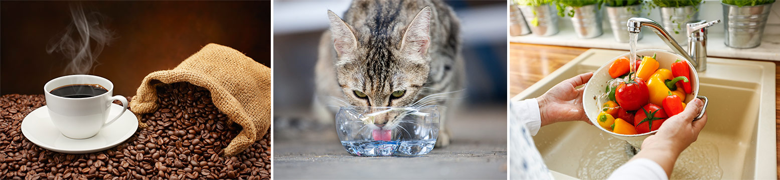 Uses for Water Filtration