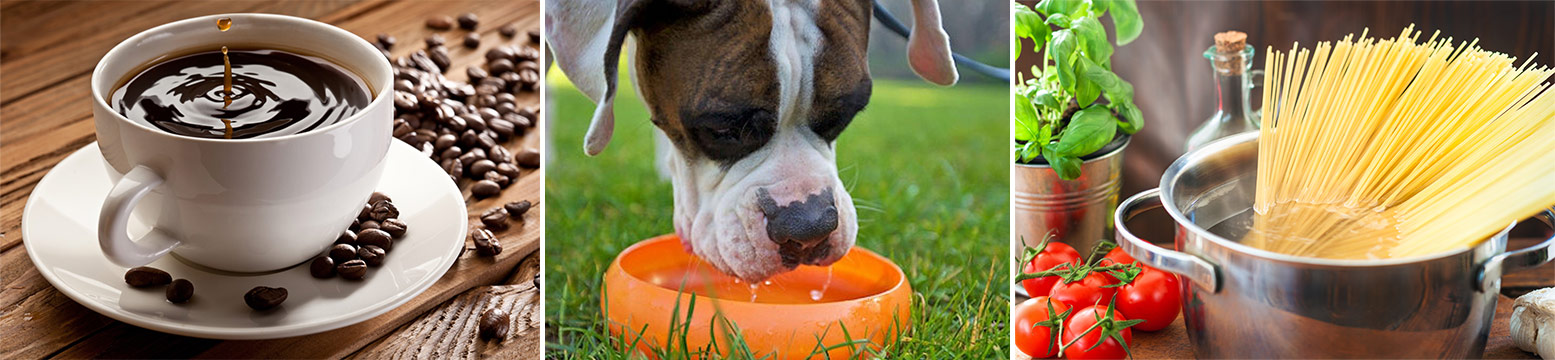 Uses for Water Filtration