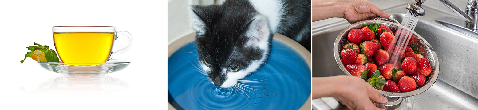 Uses for Water Filtration