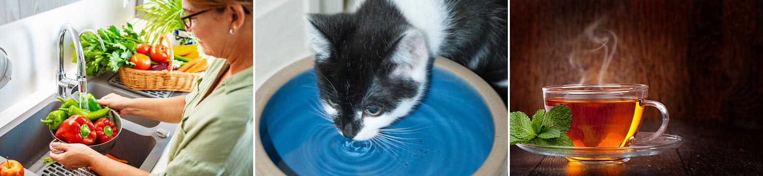 Uses for Water Filtration