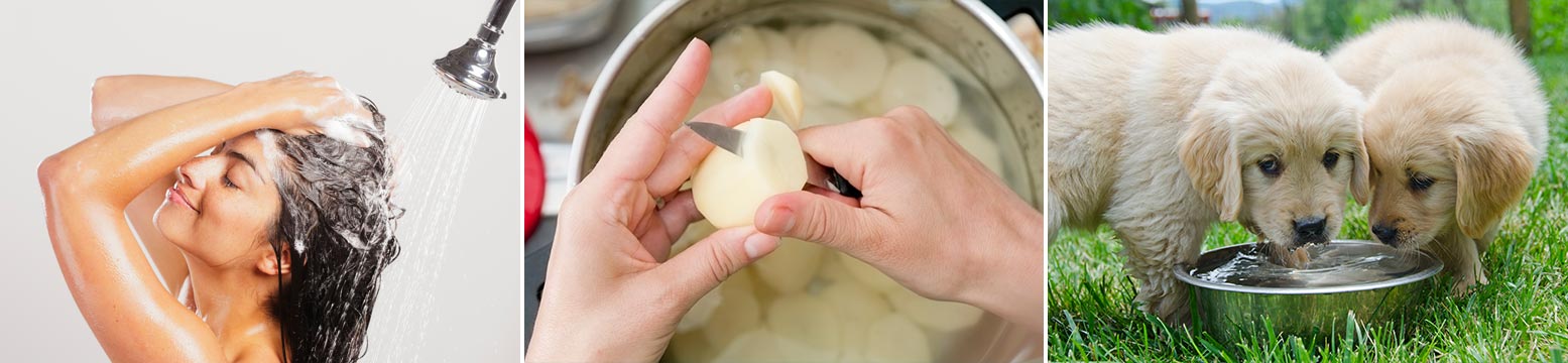 Uses for Water Filtration