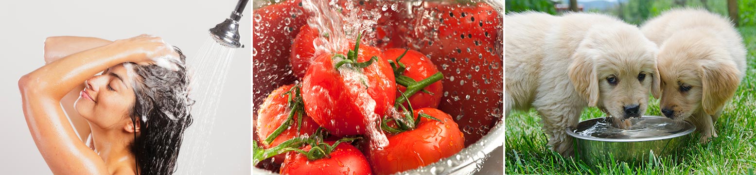 Uses for Water Filtration