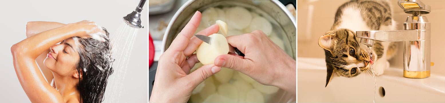 Uses for Water Filtration