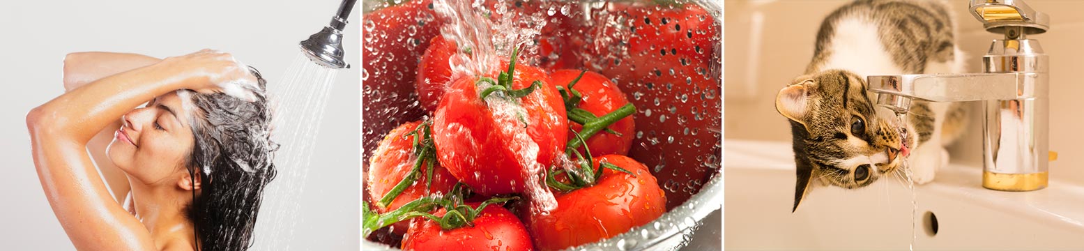 Uses for Water Filtration