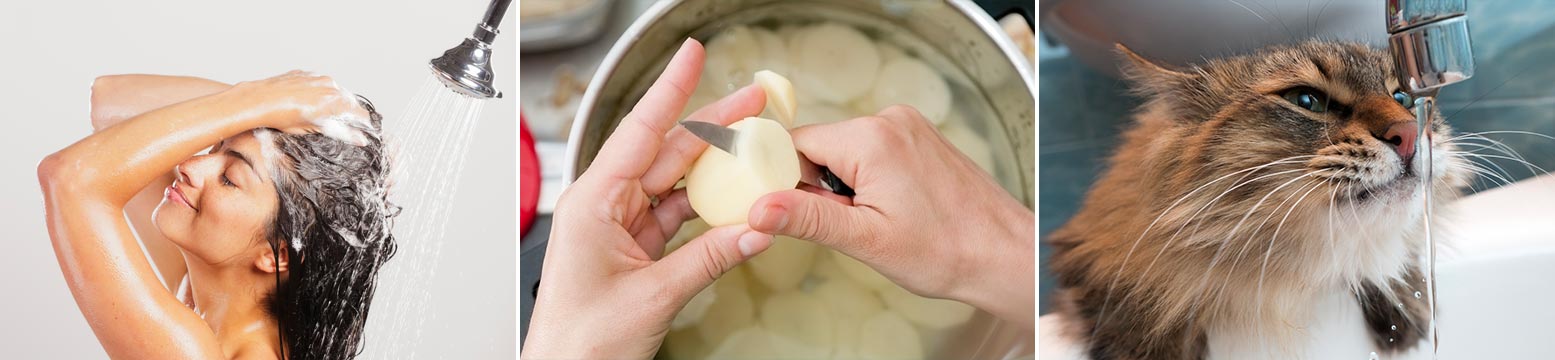 Uses for Water Filtration