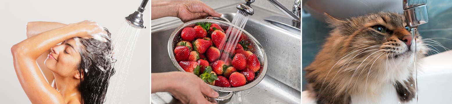 Uses for Water Filtration