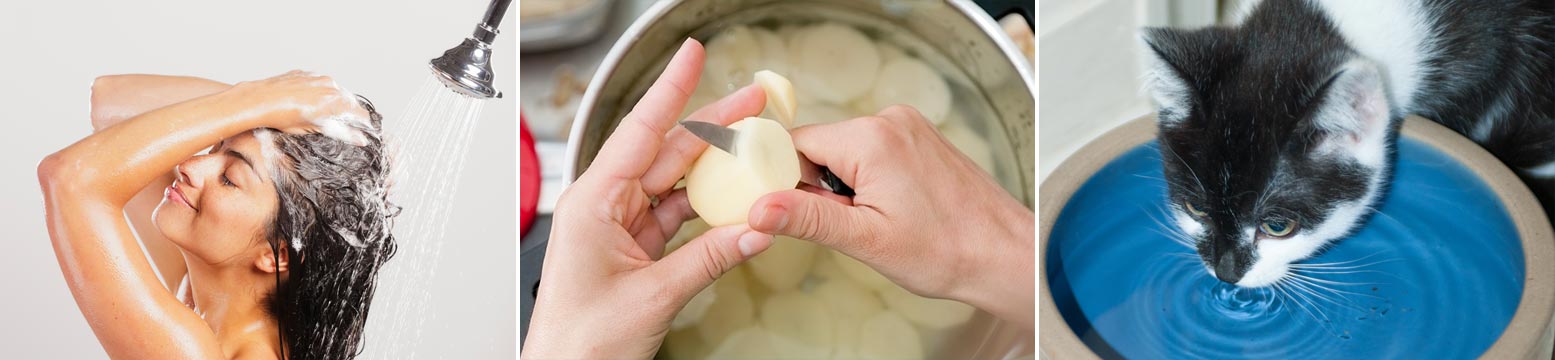 Uses for Water Filtration