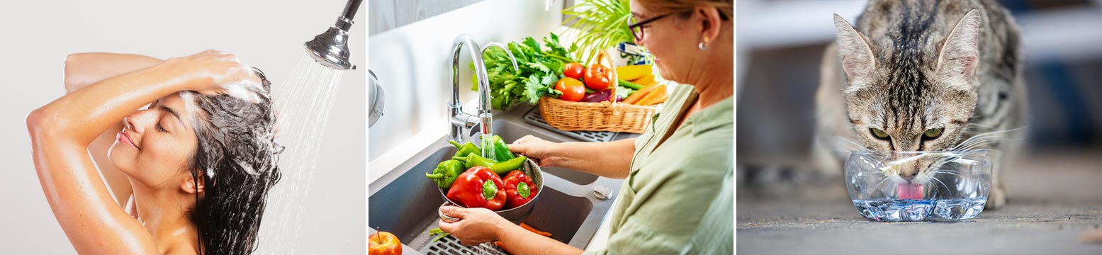 Uses for Water Filtration