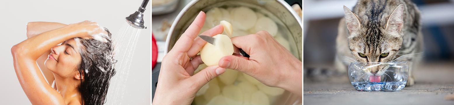 Uses for Water Filtration