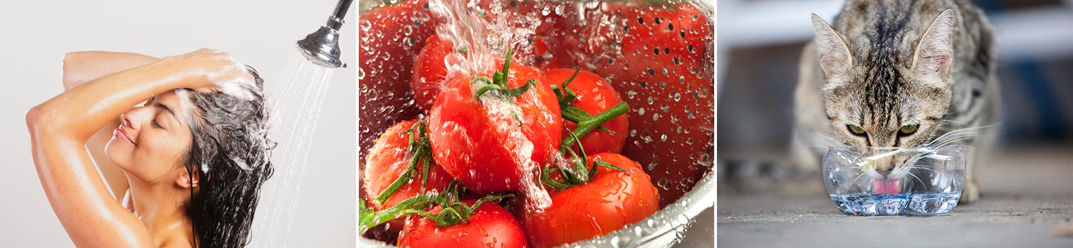 Uses for Water Filtration