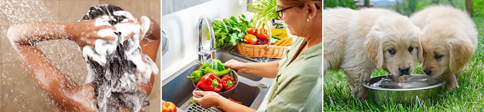 Uses for Water Filtration