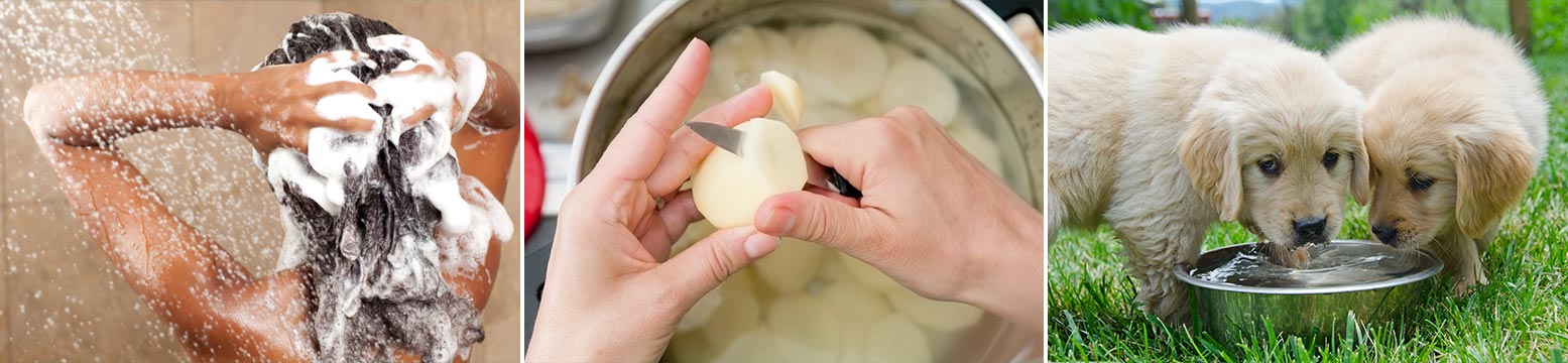 Uses for Water Filtration