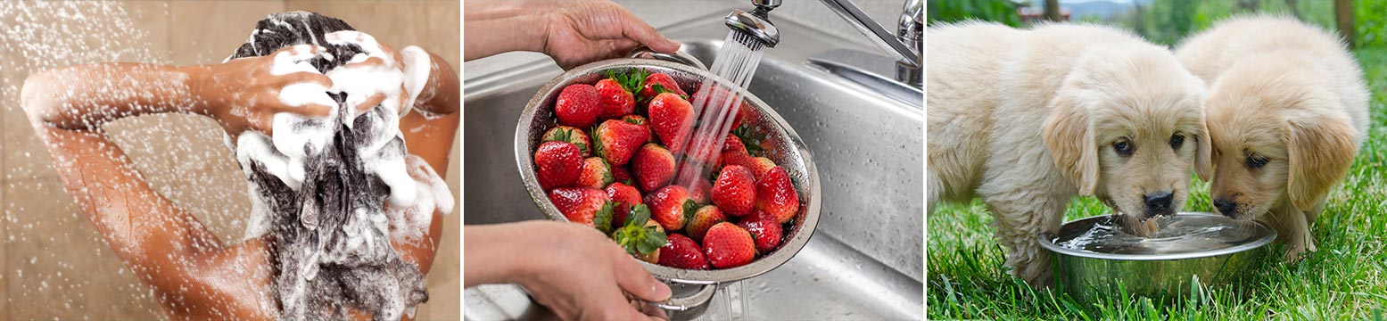 Uses for Water Filtration