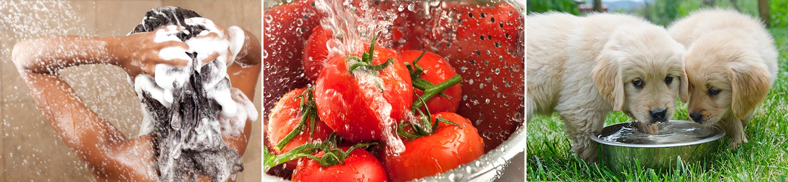 Uses for Water Filtration