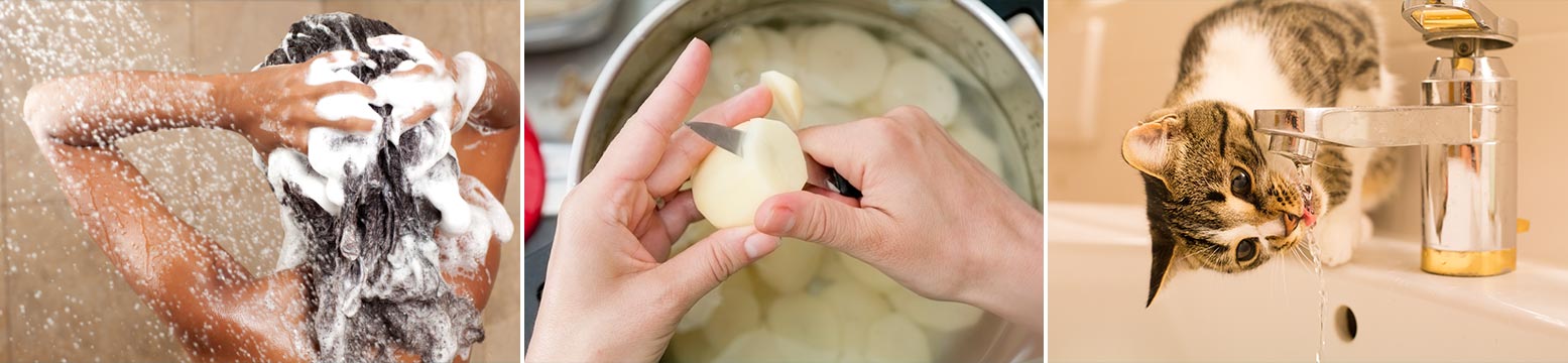 Uses for Water Filtration