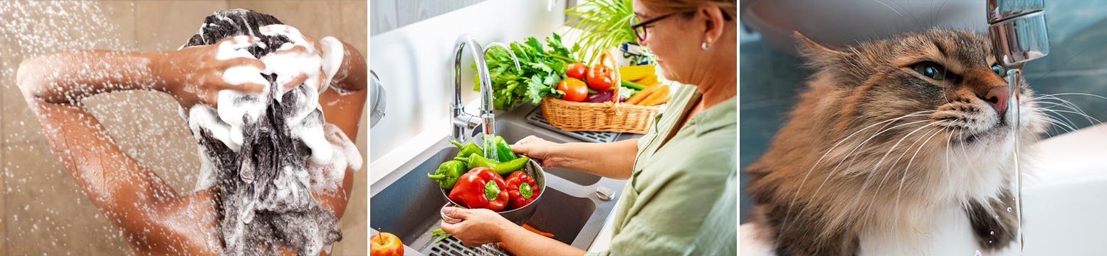 Uses for Water Filtration