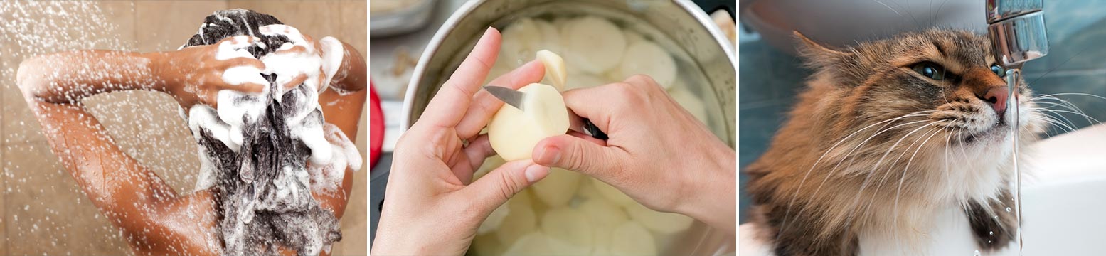 Uses for Water Filtration