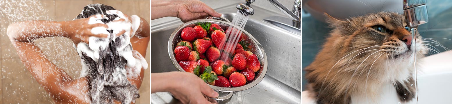 Uses for Water Filtration