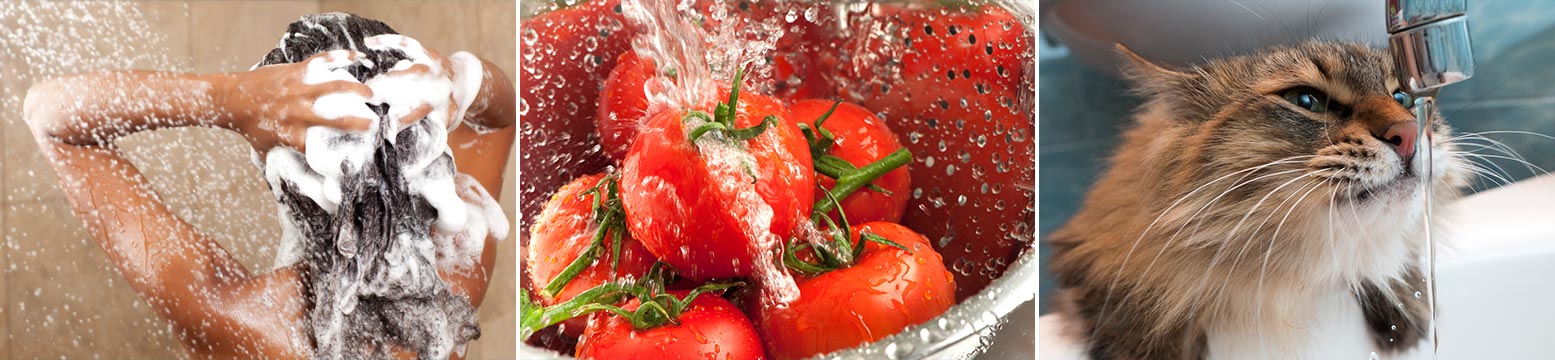 Uses for Water Filtration