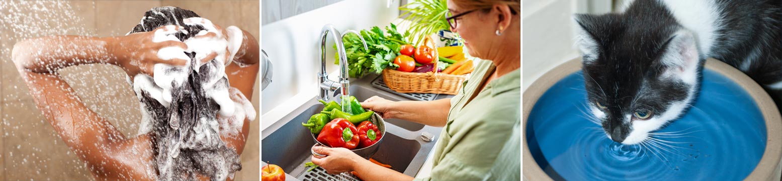 Uses for Water Filtration