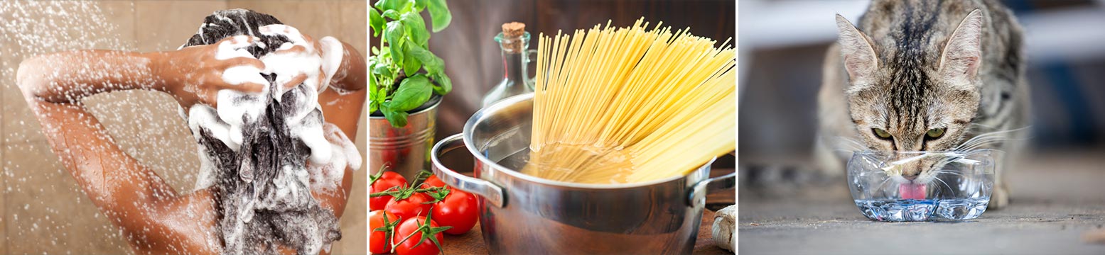 Uses for Water Filtration