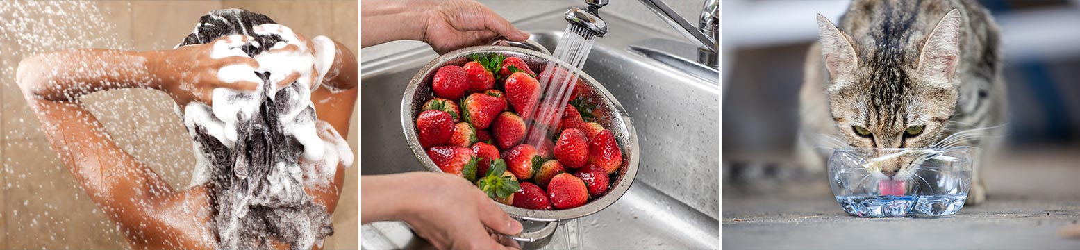 Uses for Water Filtration