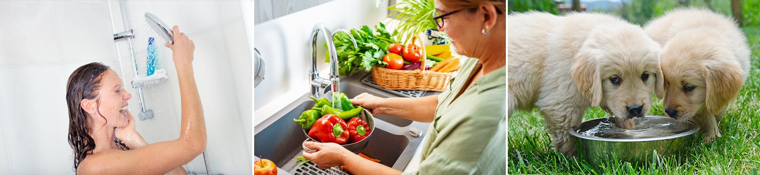 Uses for Water Filtration