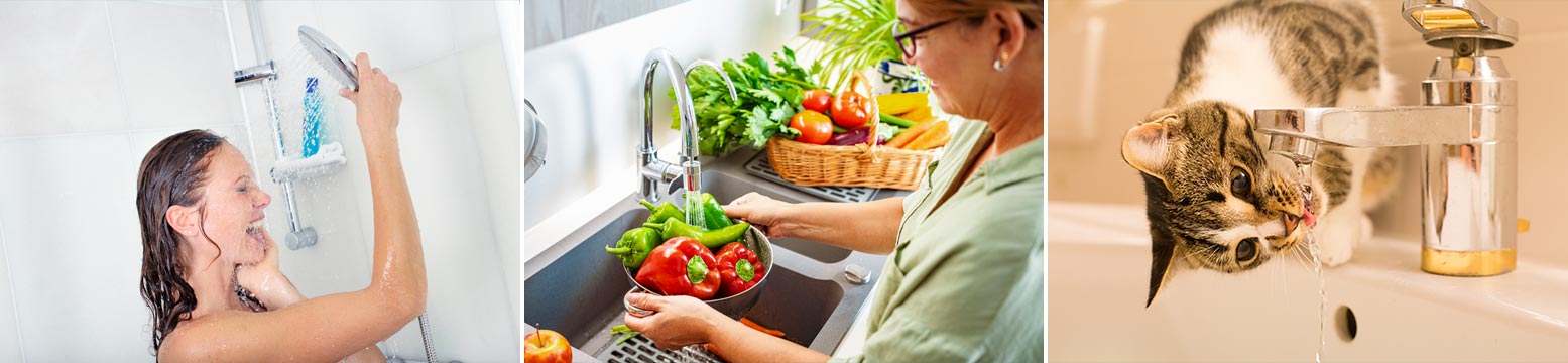 Uses for Water Filtration