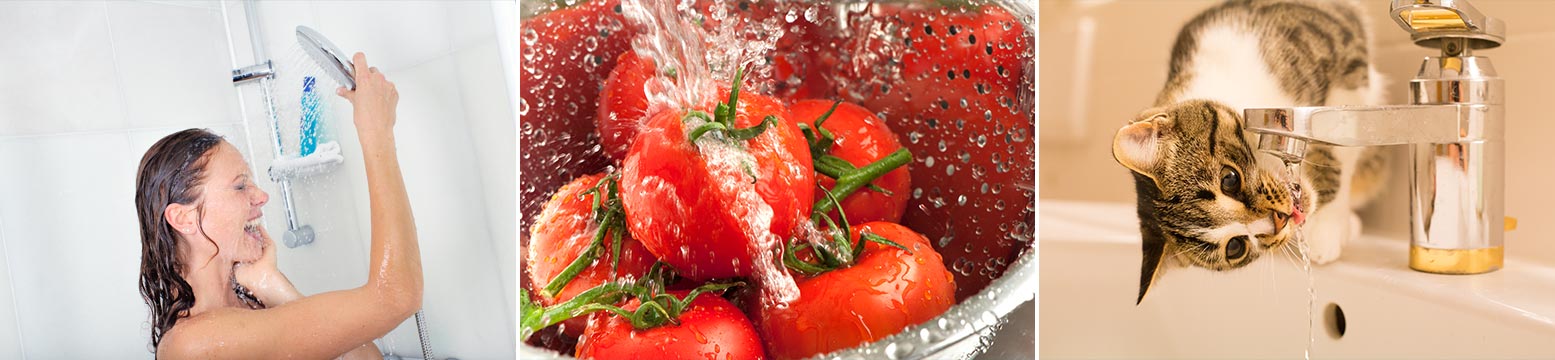 Uses for Water Filtration