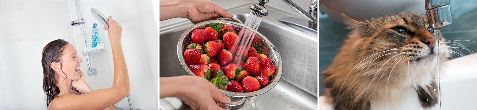 Uses for Water Filtration