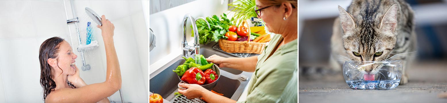 Uses for Water Filtration