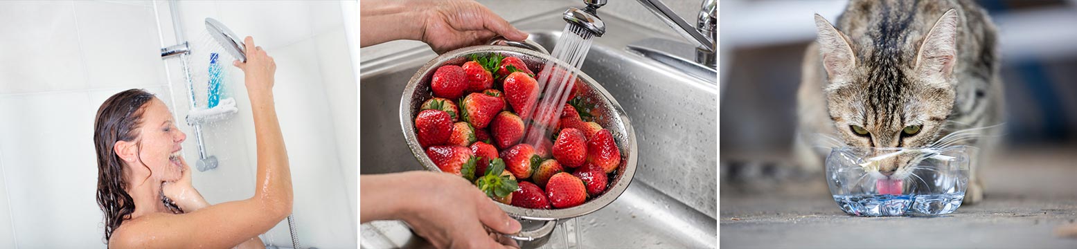 Uses for Water Filtration