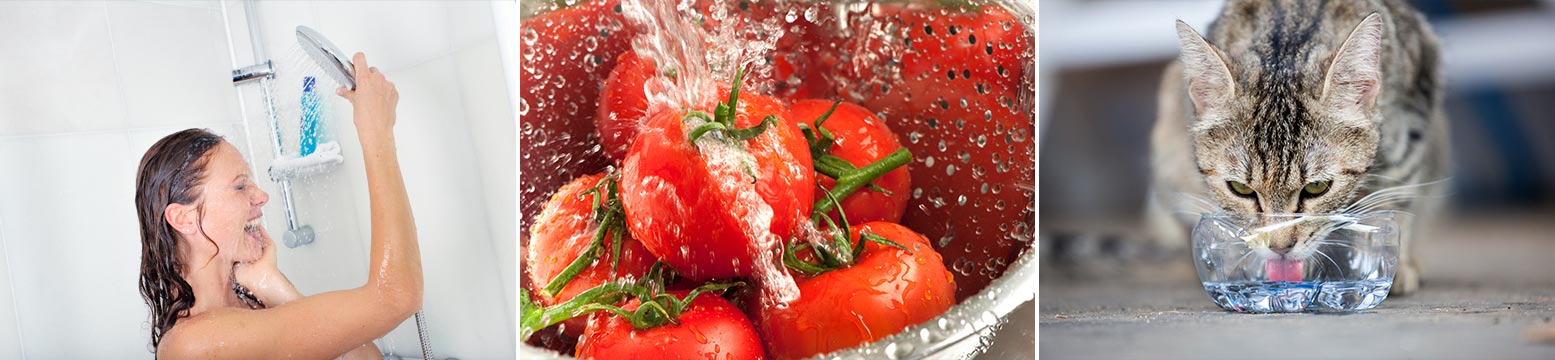 Uses for Water Filtration