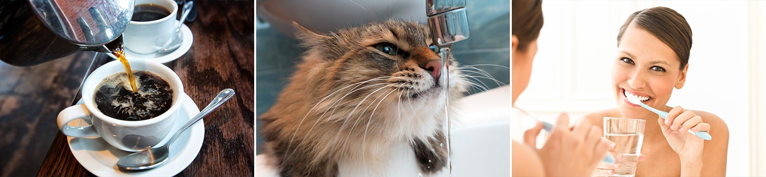 Uses for Water Filtration