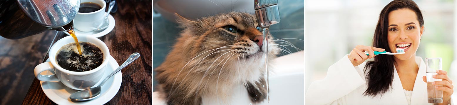 Uses for Water Filtration