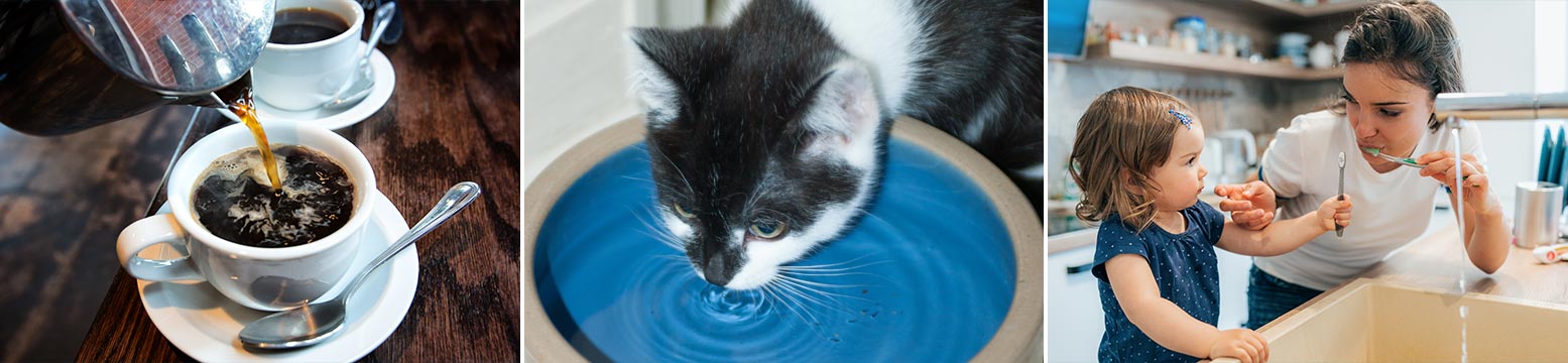 Uses for Water Filtration