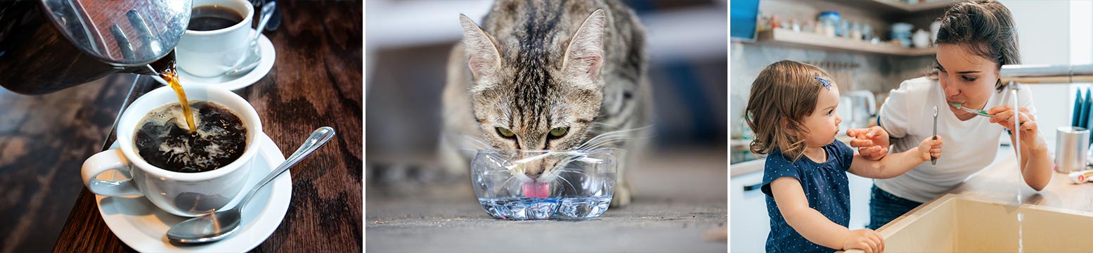 Uses for Water Filtration