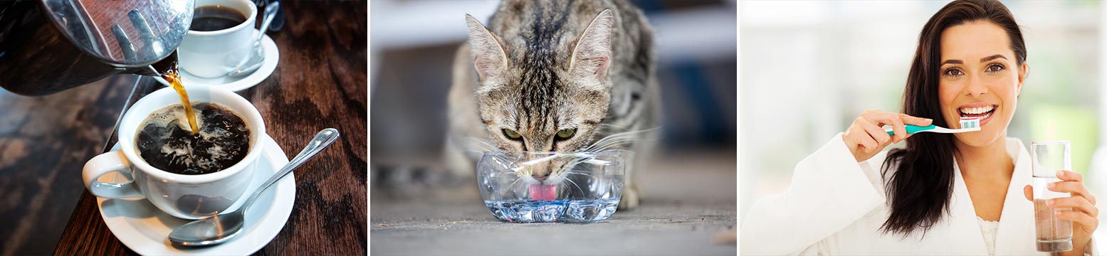 Uses for Water Filtration