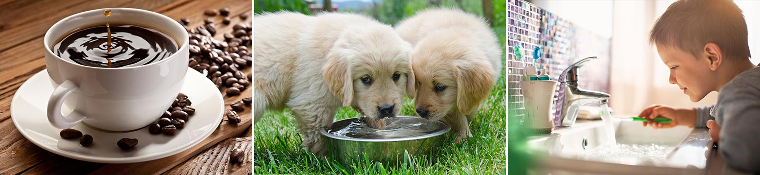 Uses for Water Filtration